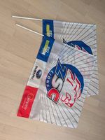 ZSC Lions Fanfahnen Konvolut (5 Stück)