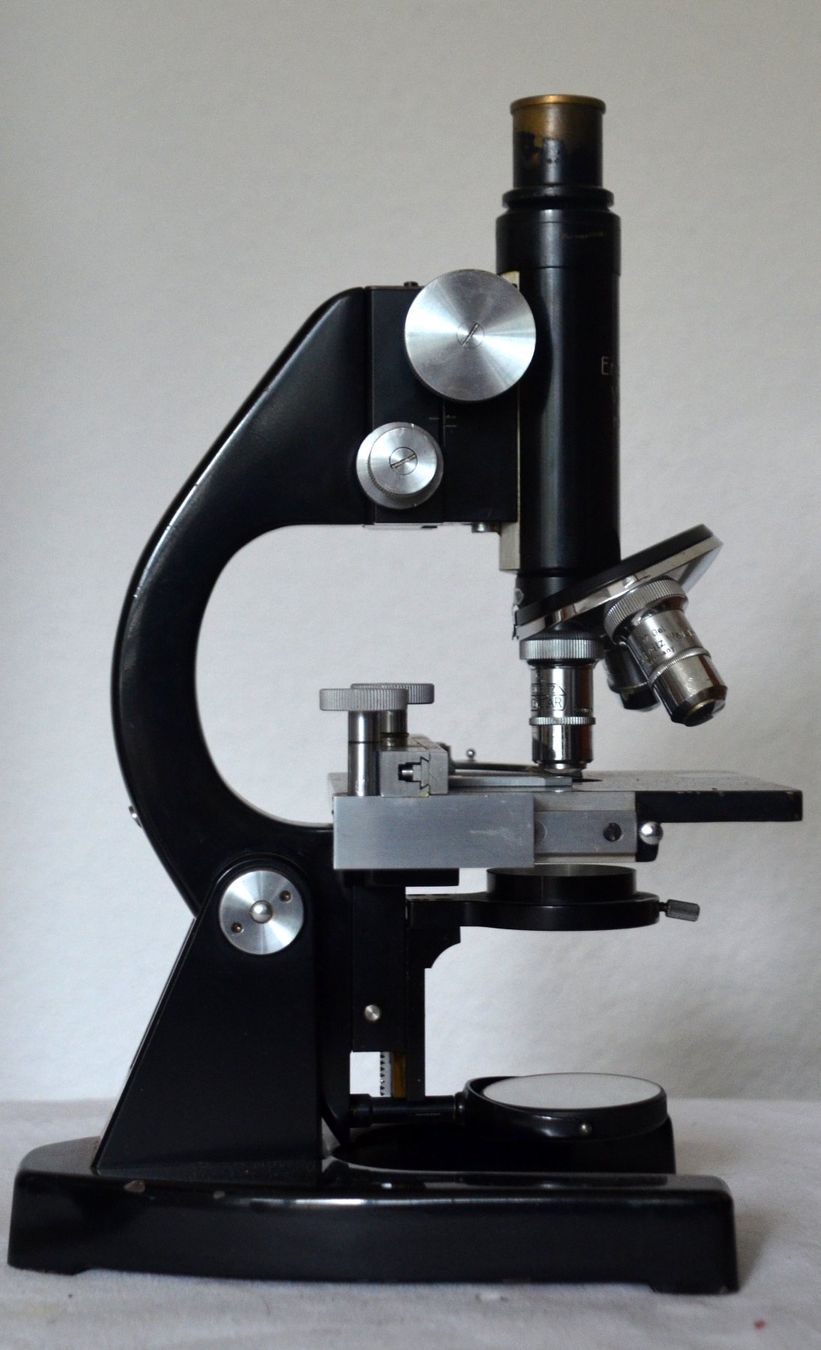 Leitz Microscopi: Ernst Leitz Wetzlar Mikroskop / microscope – Usato da Collonges venduto da arashee 3