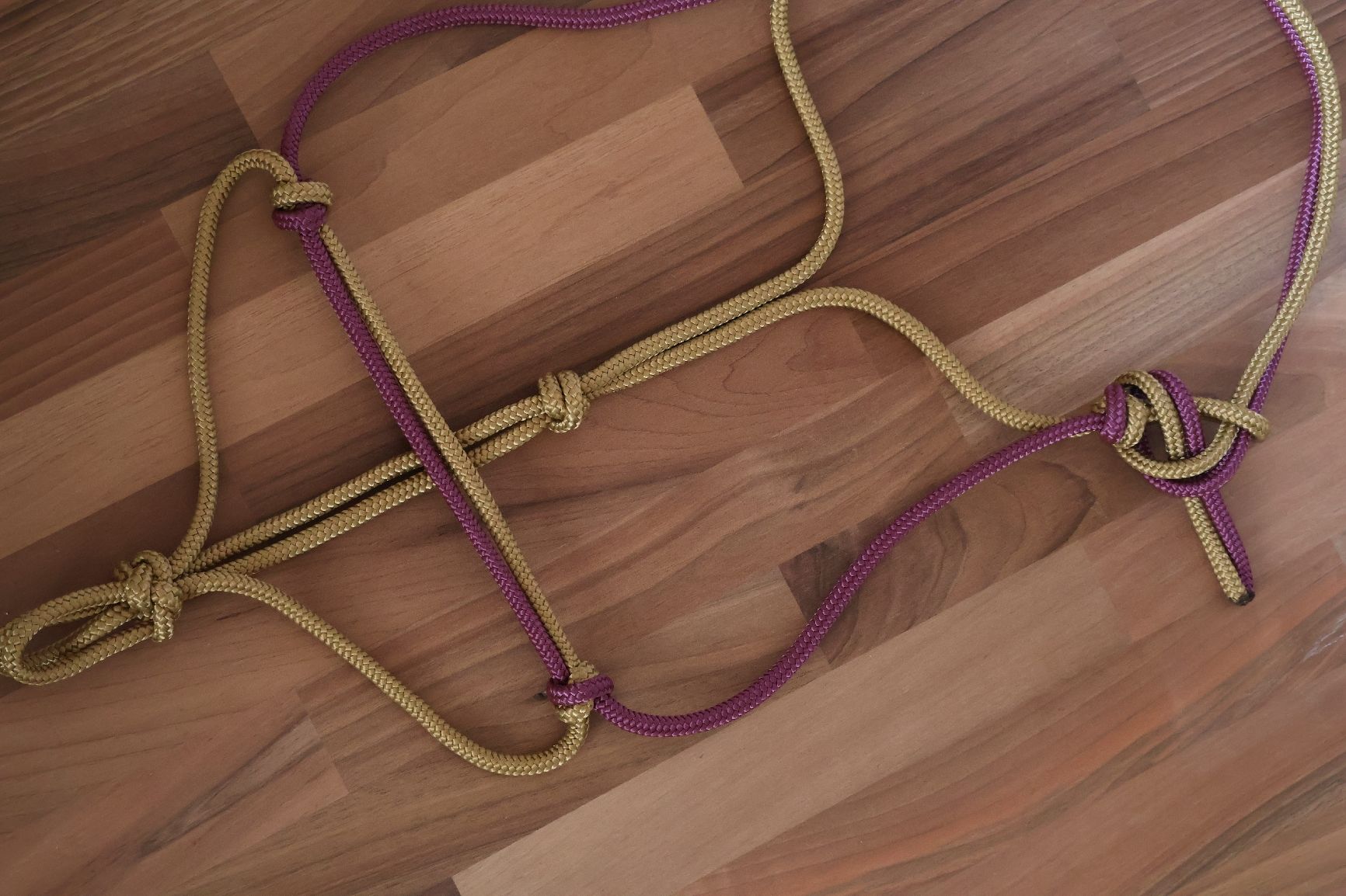 Briglie & Cavezze: Knotenhalfter Cob – Nuovo e nell'imballaggio originale da Meggen venduto da Orrinka20 1
