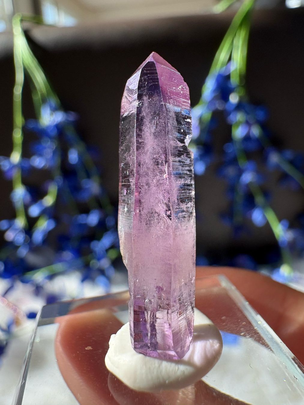Pietre preziose: Veracruz Amethyst – Nuovo (secondo la descrizione) da Neuheim venduto da m.hald