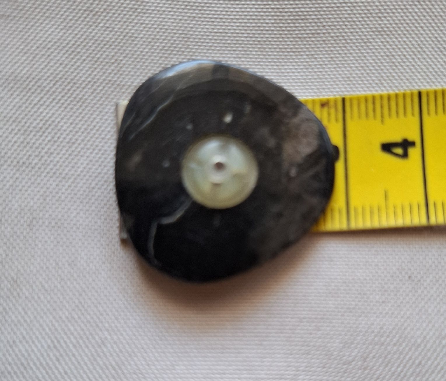 Knöpfe: 1 Knopf aus Perlmutt, oval, ca. 30 mm. – Gebraucht aus Dietikon von Hirschkopf 2