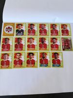 Panini WM 2026 - Kanada Set 17 Stk inkl. Wappen & Teambild