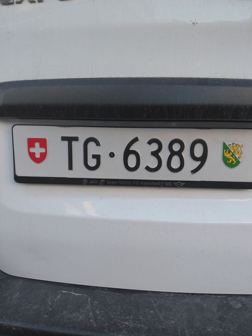 Insegne: Kontrollschild 4-stellig TG – Usato da Frasnacht venduto da dan_c2l6
