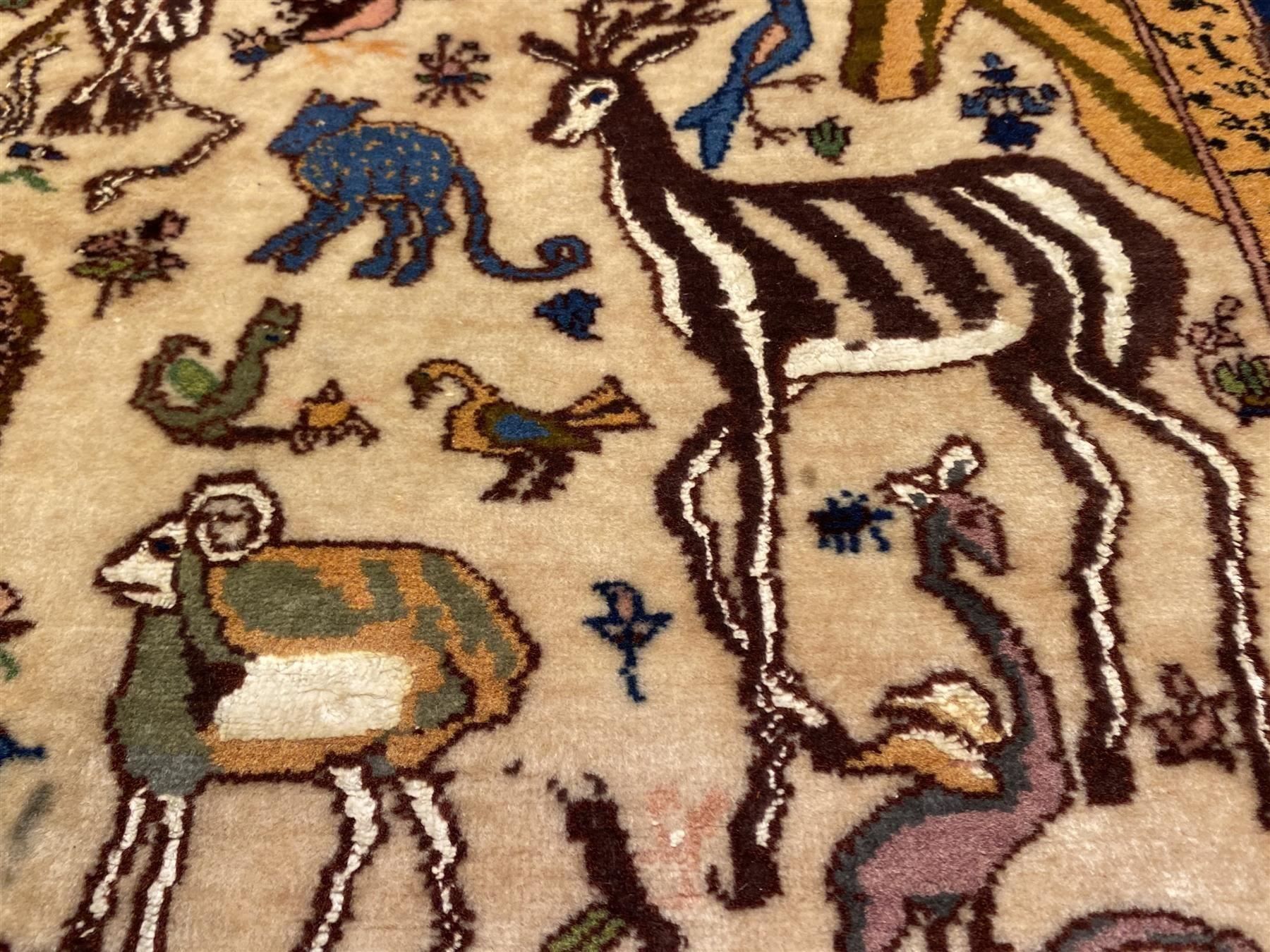 Tappeti: Perfekte feine Tabriz m. Seide 250x152cm – Usato da Steinhausen venduto da Super05 2