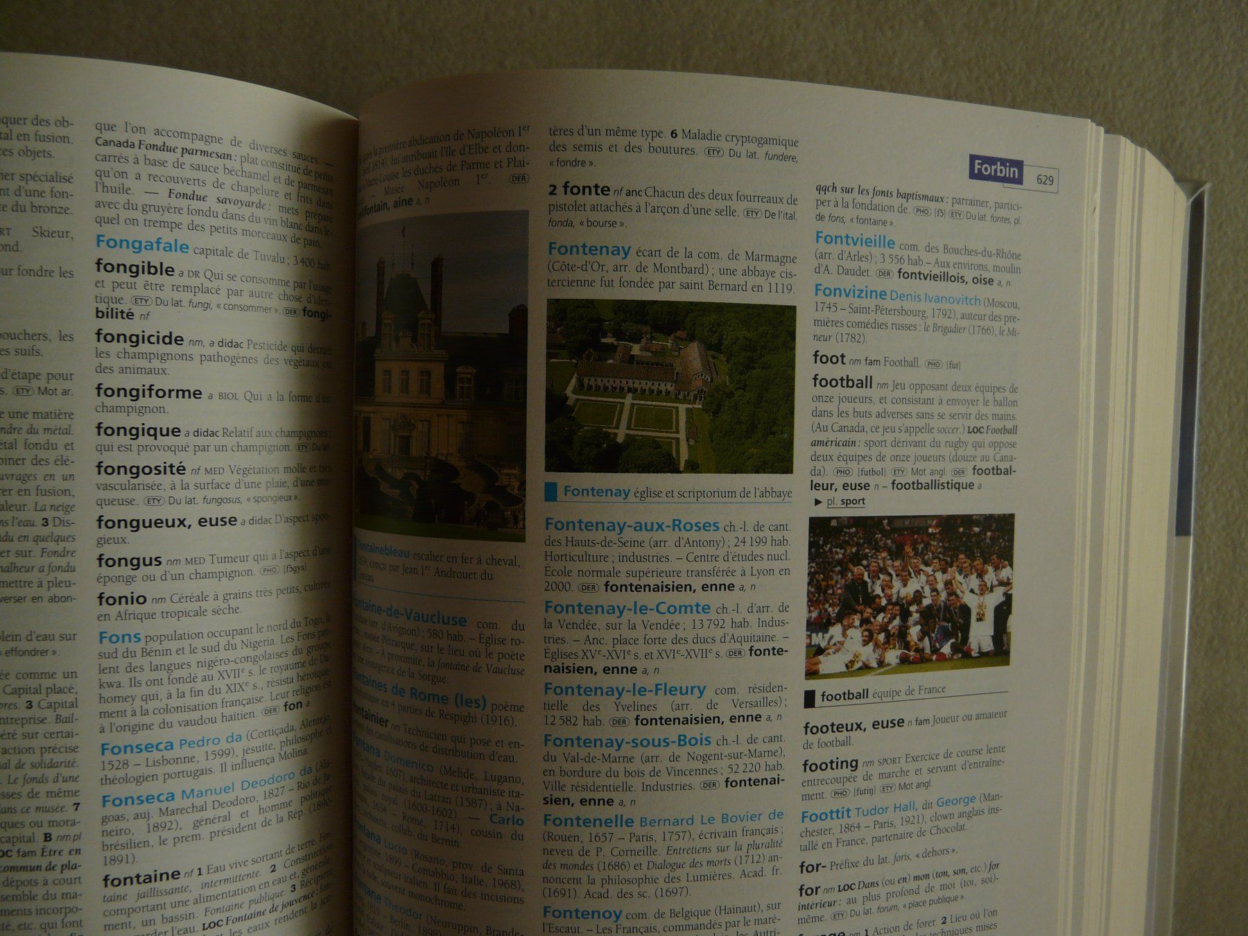 Libri: Dictionnaire Hachette 2010 – Usato da ERLINSBACH venduto da doudouce 1