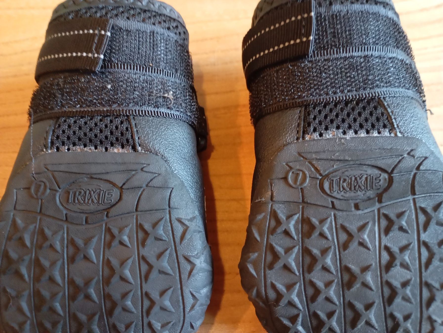 Abbigliamento: Pfotenschutz – Usato da Gunzwil venduto da peyerje 3