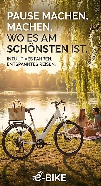 Biciclette: Frauen Elektrobike – Nuovo (secondo la descrizione) da Geroldswil venduto da jos_5ccn 1