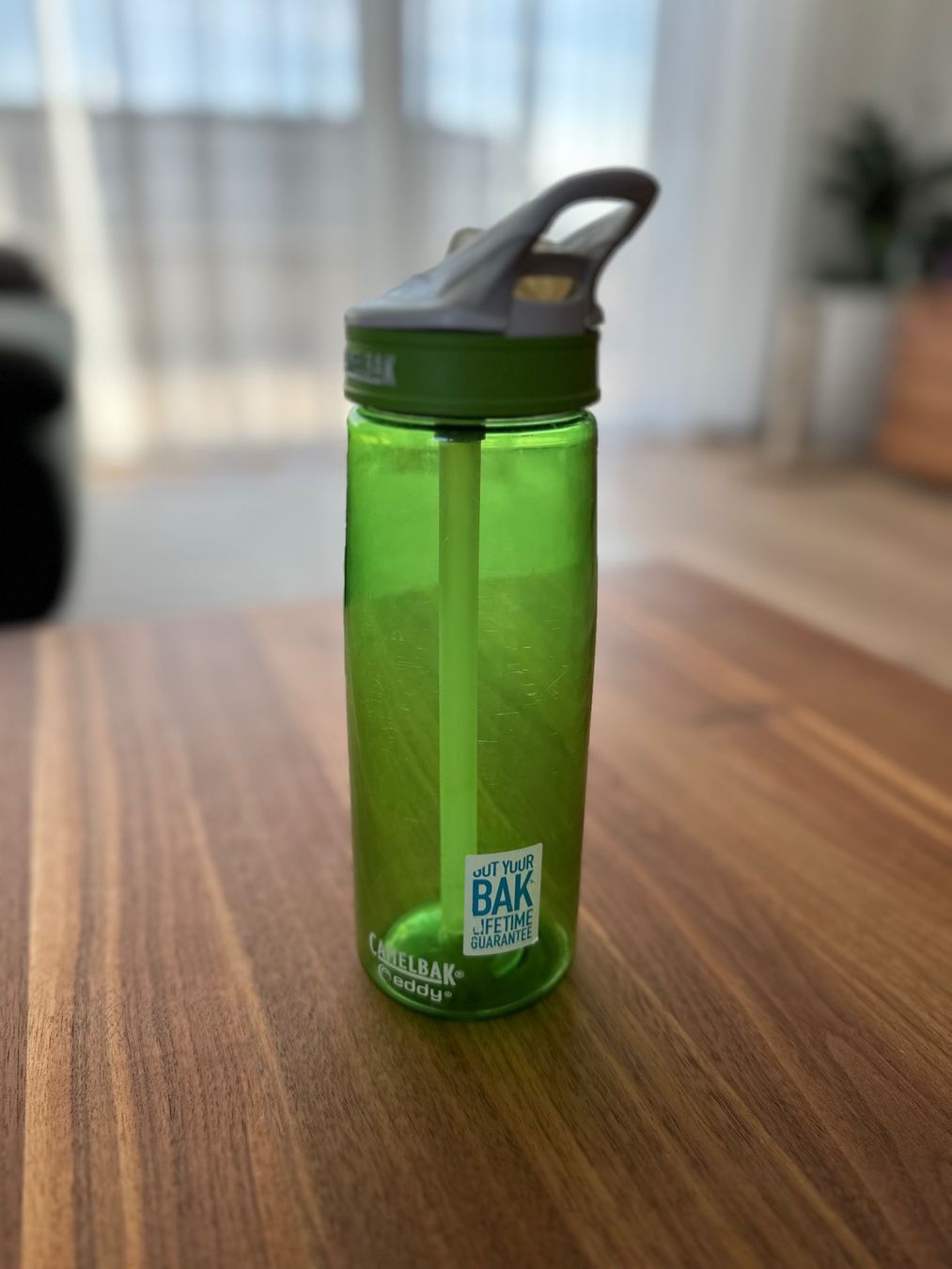 Camelbak Borracce & Thermos: Trinkflasche - Camelbak – Usato da Märstetten venduto da fab_wf2v 1