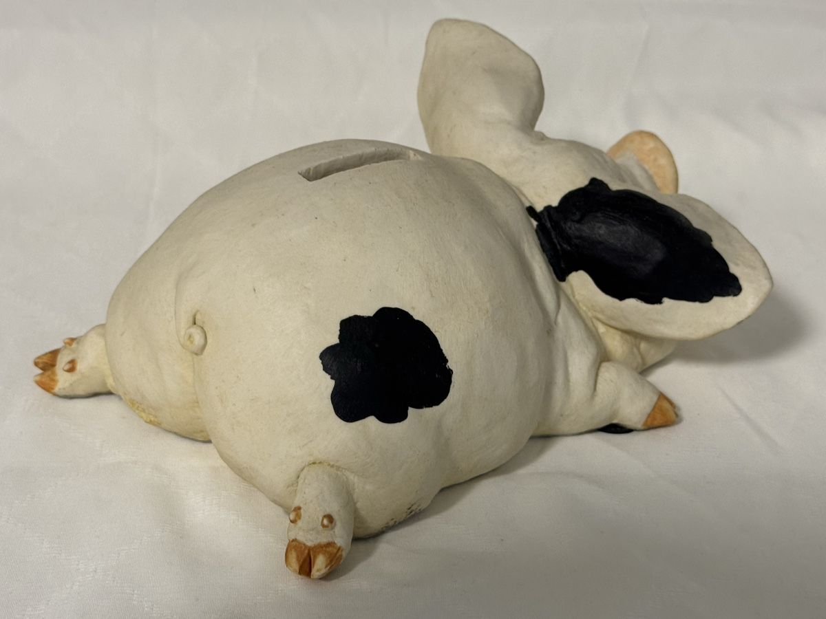 Salvadanai: spezielles Sparschwein – Usato da Schwerzenbach venduto da schwerzi70 2