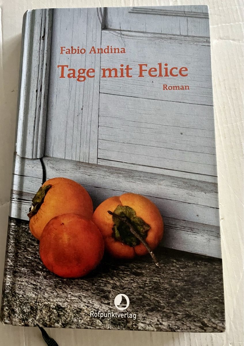 Bücher: Fabio Andina, Tage mit Felice – Gebraucht aus Wittenbach von sambuk