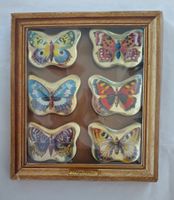 6 kleine Schmetterling Blechdosen Läckerli Huus "Papillon"