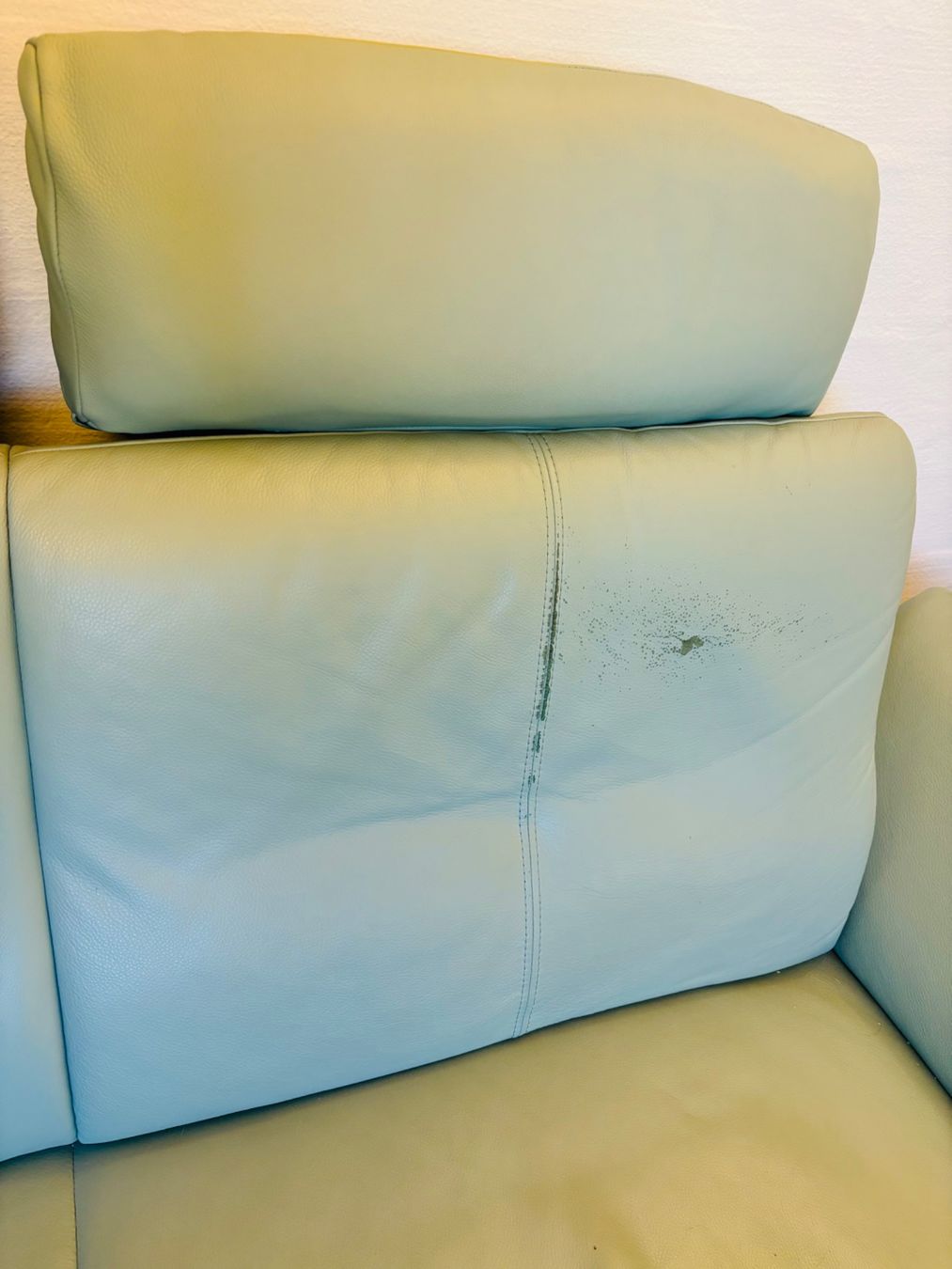 Sofas: Zweisitzer Sofa Leder mintgrün – Gebraucht aus Adliswil von Rai_ki 5
