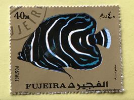 Briefmarken aus Fujeira gestempelt  Siehe Original Fotos. 