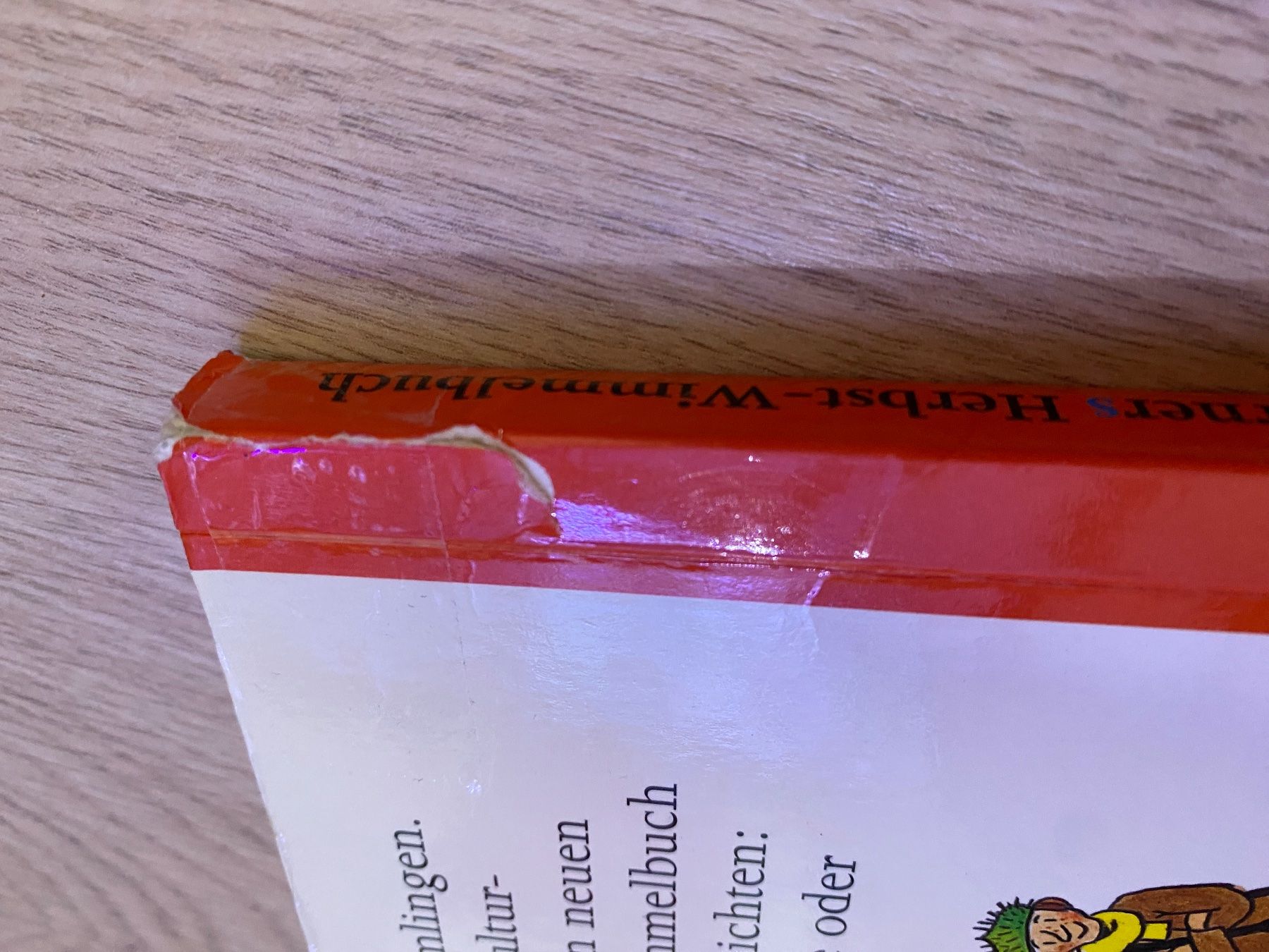 Bücher: Rotraut Susanne Berner Wimmelbuch Herbst – Gebraucht aus Zizers von dalaub 3