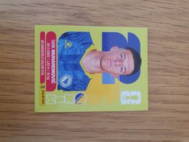 Panini BIH 5