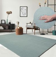 SONDERPREIS🔥 Teppich Wohnzimmer XXXL 240x340  Pastell