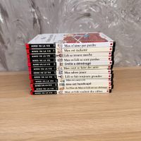 Lot de 12 Livres Max et Lili – Collection "Ainsi va la vie"