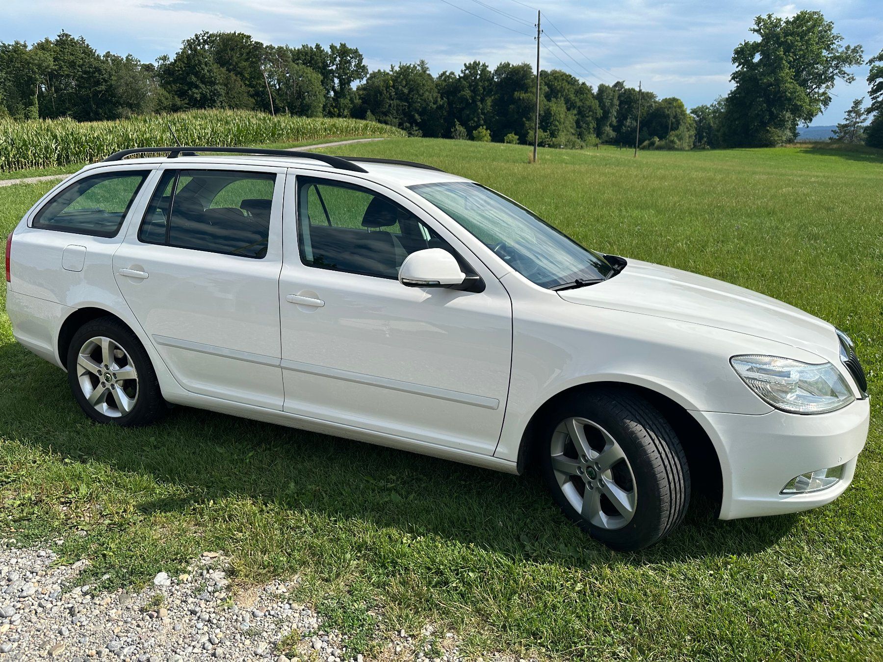 Skoda Automobili: Skoda Octavia TDI 2.0 DSG – Usato da Tägerwilen venduto da Golf1