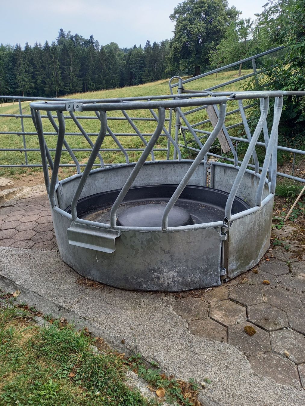 Sonstiges Tierzubehör: Raufutterraufe für Rinder – Gebraucht aus Neschwil von cor_vt95
