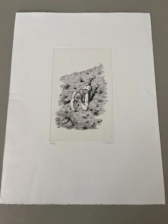 Grafica & Litografie: PETER STREICH RADIERUNG SIGNIERT NUMMERIERT – Usato da Gersau venduto da grafik-kunst 3