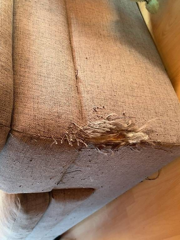 Sofas: Grosses Sofa – D'occasion à St. Gallen par ani_782p 3
