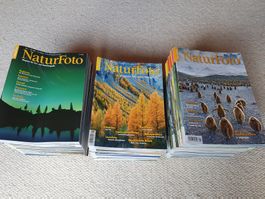 NaturFoto Magazin für Naturfotografie 12 Jahrgänge