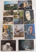 GENÈVE - MUSÉUM - Lot de 24 cartes