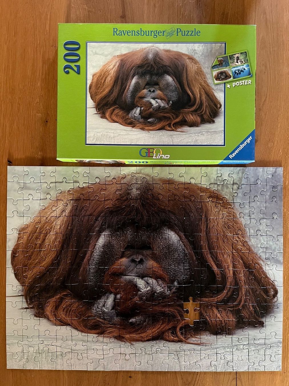 Ravensburger Puzzle: Ravensburger Puzzle Orang-Utan 199 Teile – Difettoso da Zürich venduto da Gurkis 1