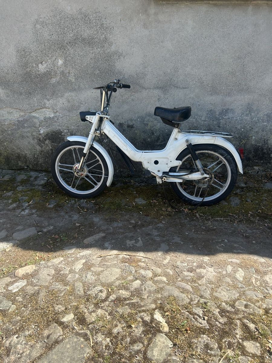 Puch Ciclomotori: Puch Maxi S Rolling Chassis – Usato da Wohlenschwil venduto da MajorTom73