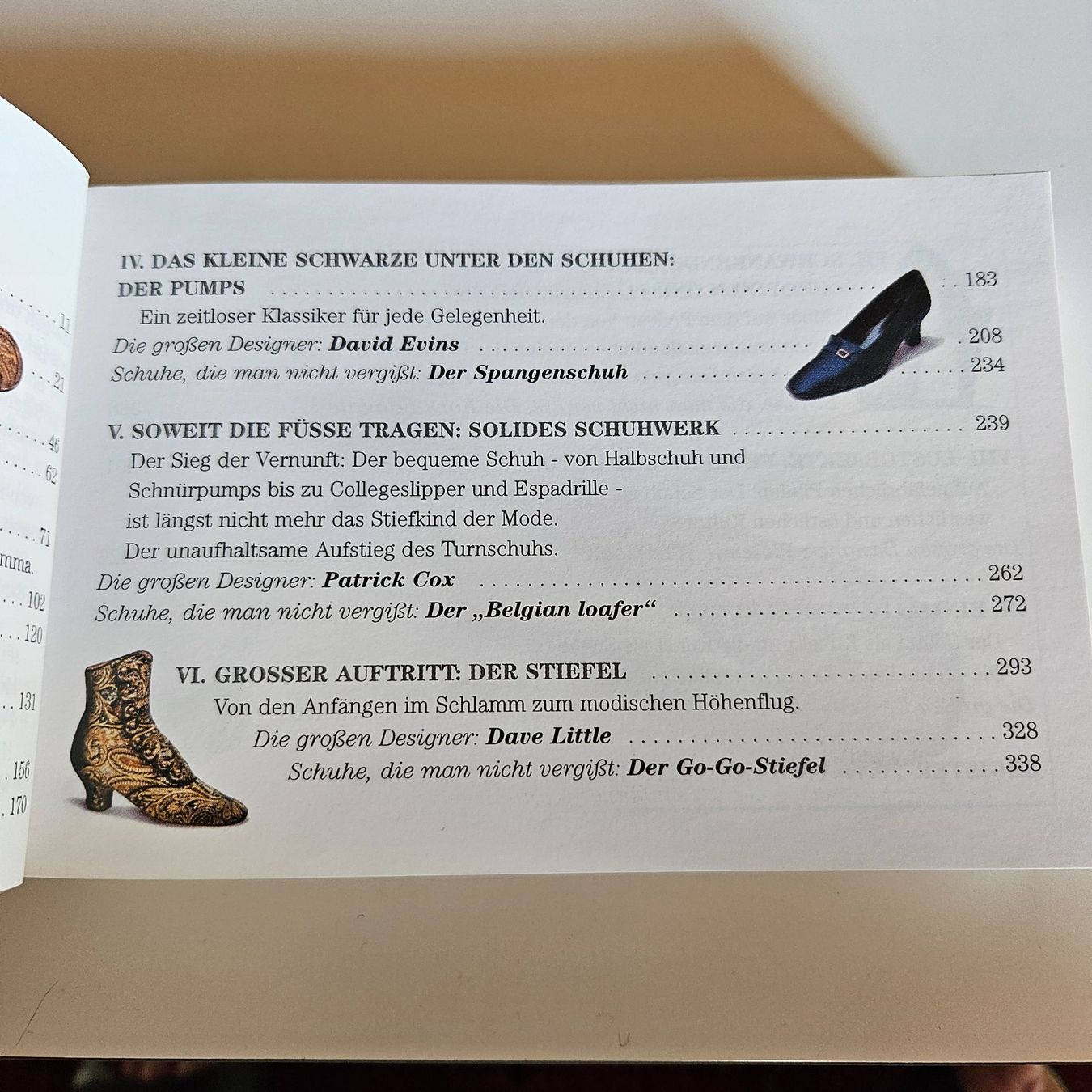 Bücher: SCHUH , Eine Hommage an den Frauenschuh – Gebraucht aus Uster von Sonnenblume212 5
