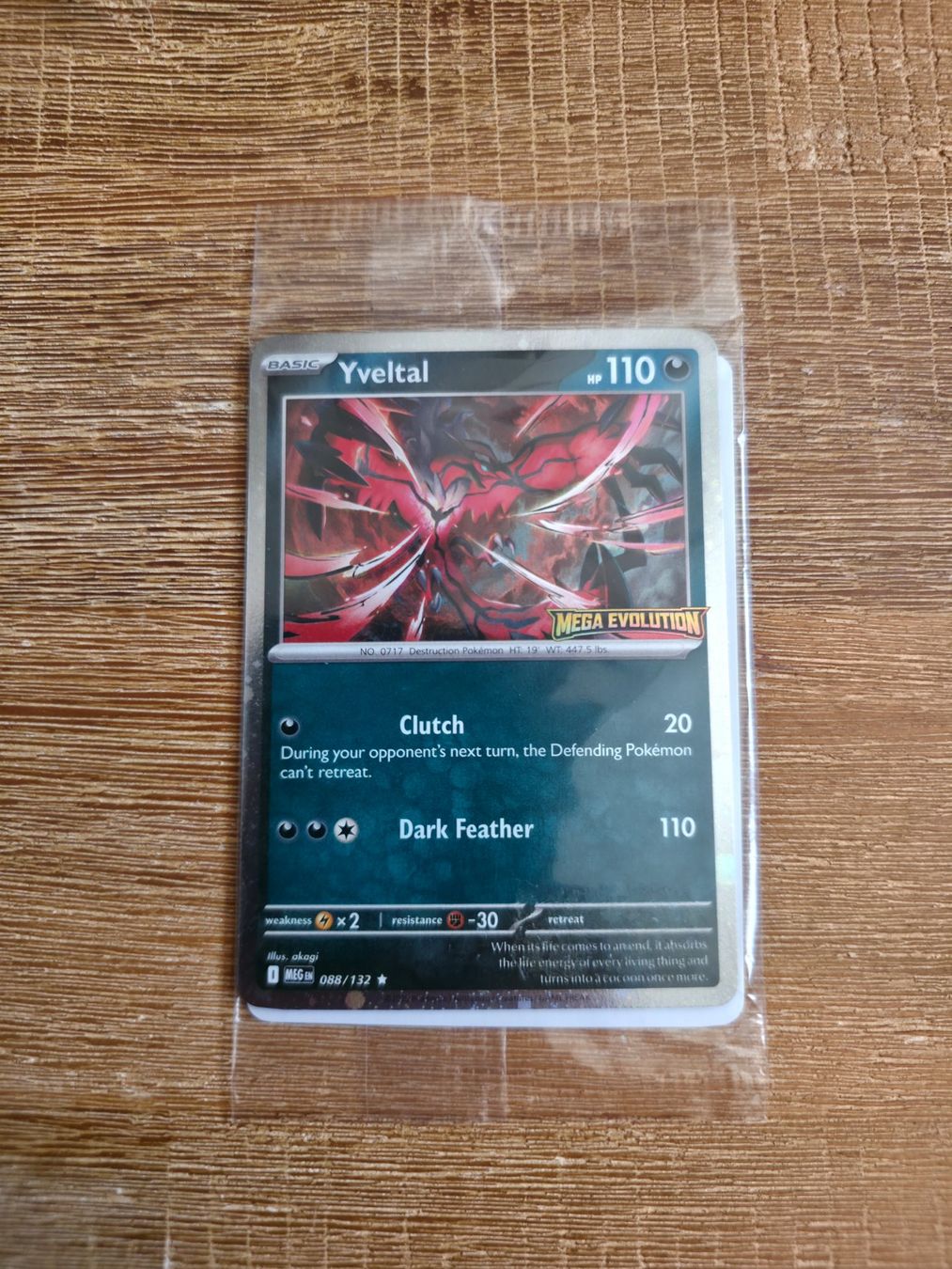 Pokémon Carte collezionabili: Pokémon Yveltal Mega Evolution Promo Sealed Englisch – Nuovo e nell'imballaggio originale da Turbenthal venduto da 90erShop