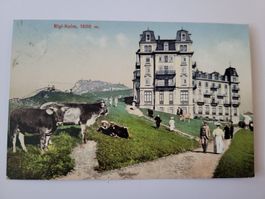 Ansichtskarte Rigi-Kulm 1800 m gelaufen Jahr 1909 R34