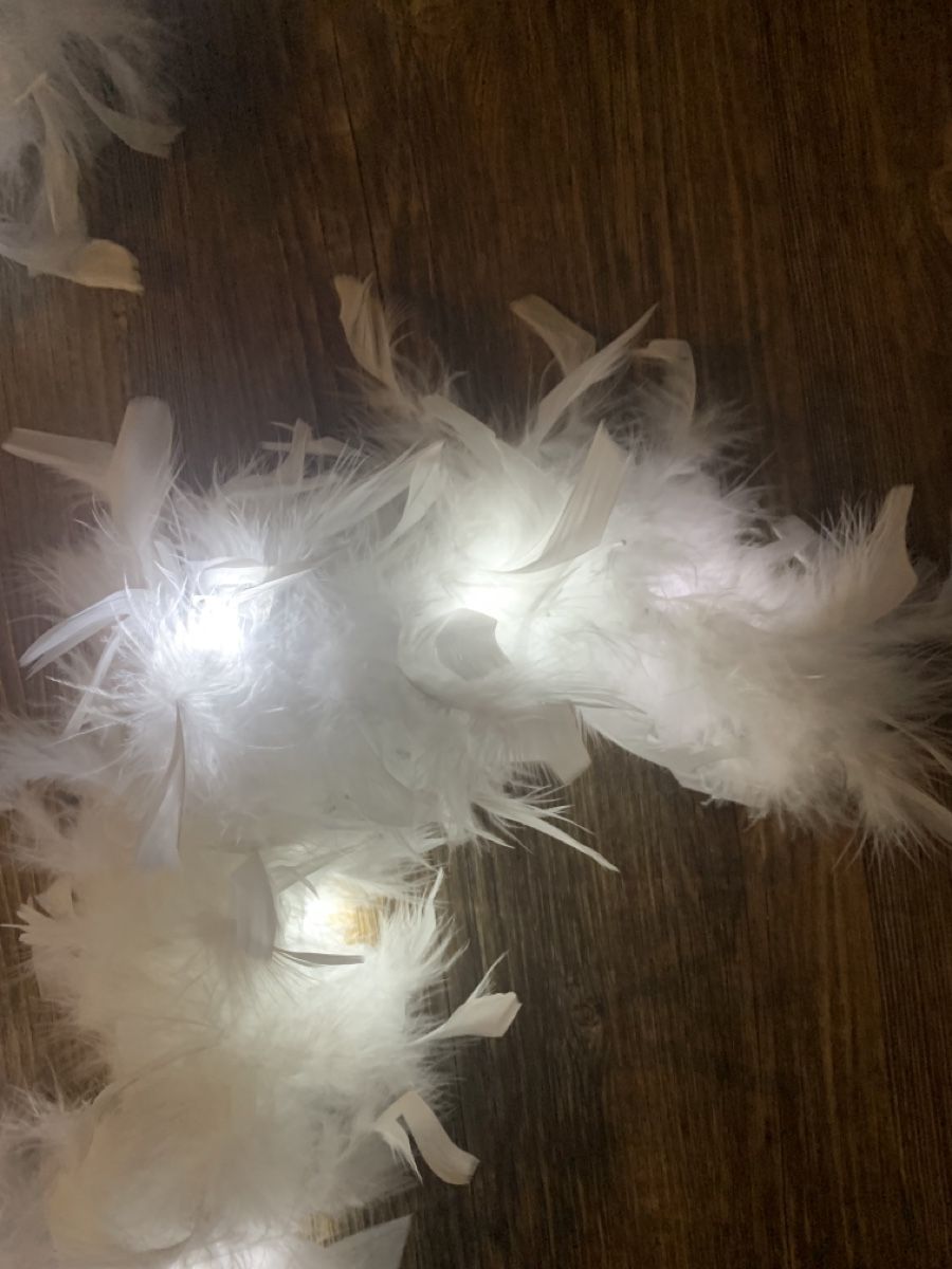 Ghirlande e barre luminose: Lichterkette mit Federn – Usato da Emmen venduto da ama_8wmn 1