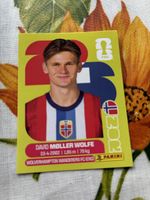 Panini Sticker David Möller Wolfe NOR 7 WM 2026 United Editi