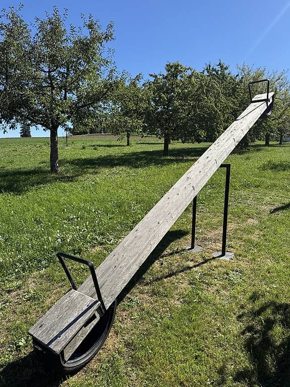Altre altalene da giardino: Wippe Schaukel 5m gross – Usato da Truttikon venduto da menefique