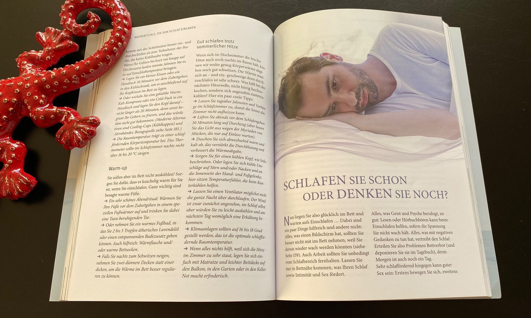 Bücher: Dr. Felds grosse Schlafschule / GU Ratgeber – Gebraucht aus Nussbaumen AG von schuba2000 3