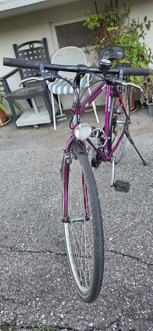 Velos: weheeler velo – Gebraucht aus Solothurn von mar_8qf8 1