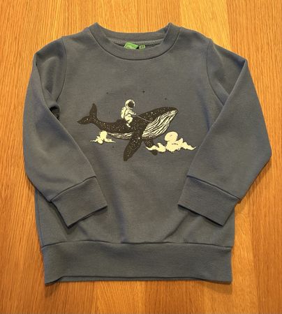 Kinder Pullover Gr. 104 Blau mit Walmotiv
