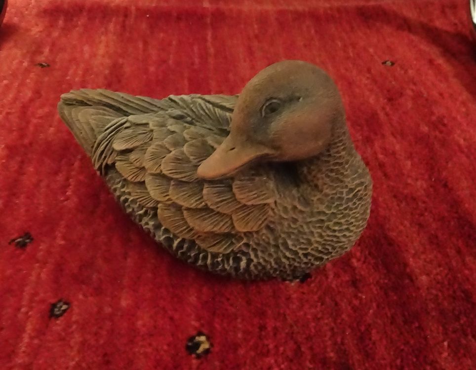 Deko Ente Garten Canard Duck Anatra Decko Kaufen auf Ricardo