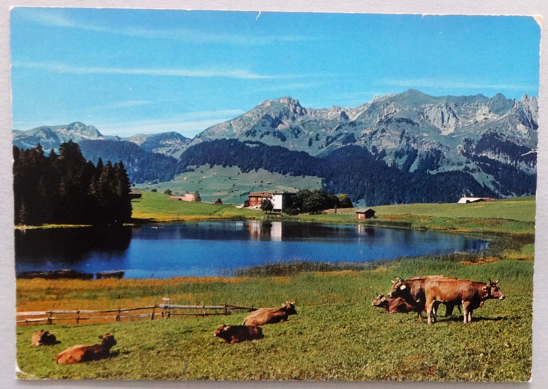 Cartoline postali: Wildhaus, Schwendisee – Usato da Fétigny venduto da Billy2miny