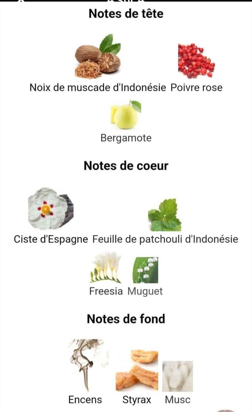 Profumi & Eau de Toilette: Parfum Botafumeiro Carner Barcelona – Nuovo (secondo la descrizione) da Collonges venduto da cam_72xf 3