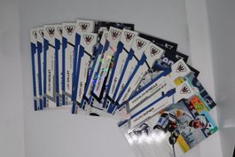 HC Fribourg Gotteron 2024/25 National League Series 2 Karten