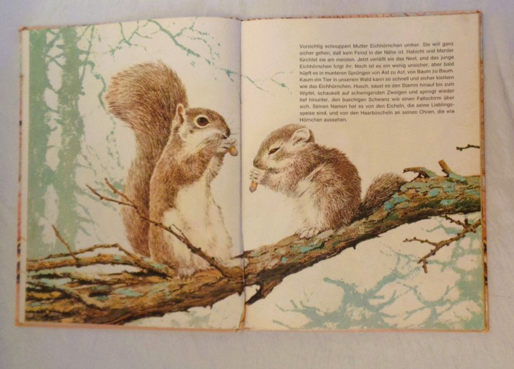 tiere-im-wald-bilderbuch-1969-ab-fr-7-gebraucht-in-bellach-f-r