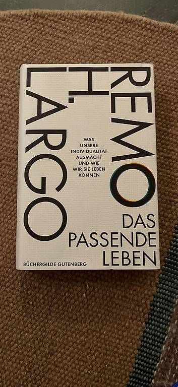 Livres: Remo Lago - das passende Leben – D'occasion à St. Gallen par steppenpferdchen