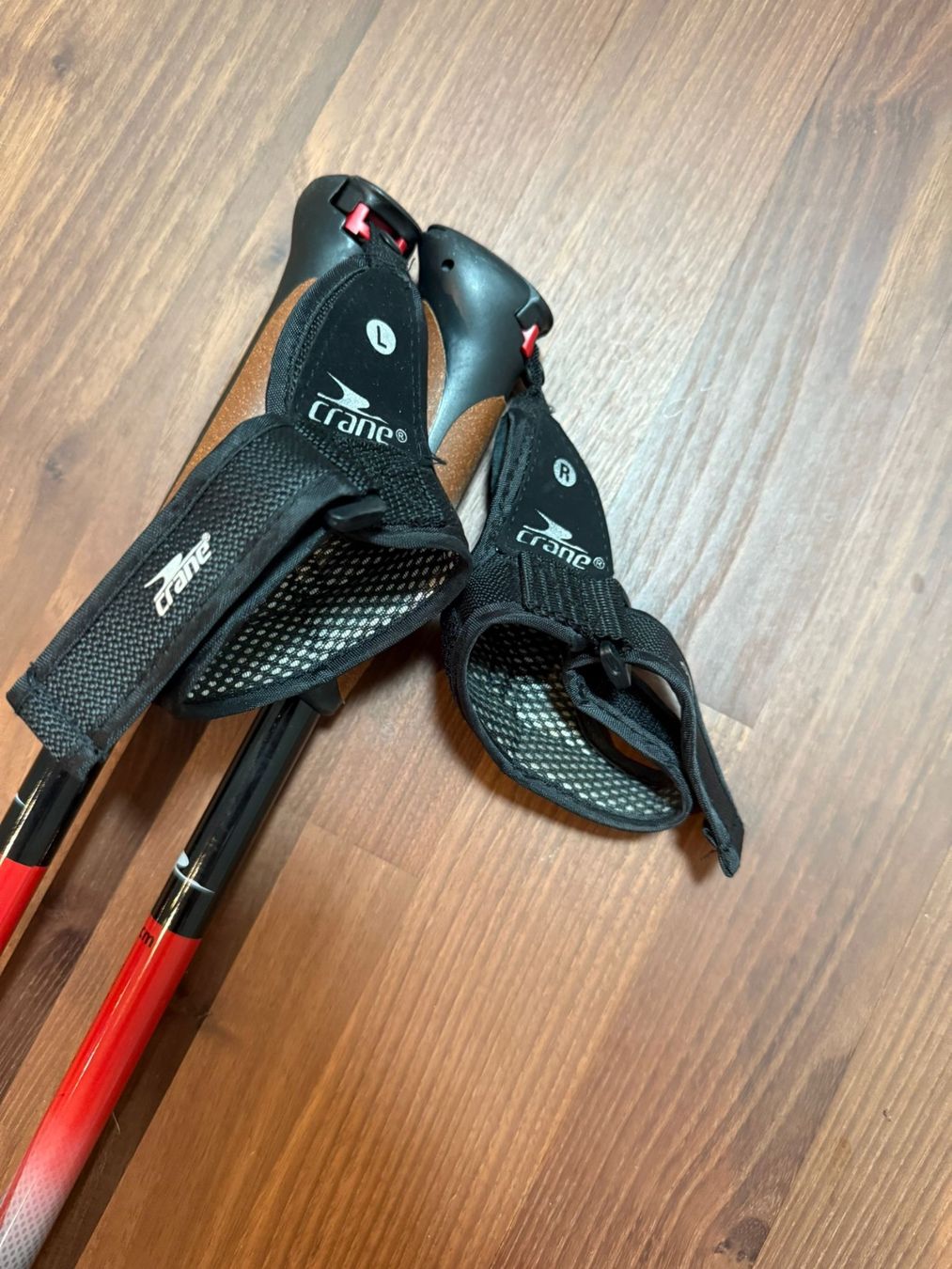 Altri accessori: Nordic Walking Stöcken von Crane – Usato da Diepoldsau venduto da raschleg60 1