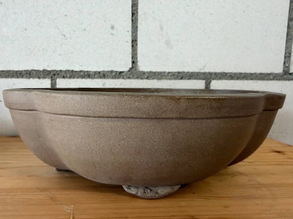 Vasi per fiori: Grosse Bonsaischale Keramik  ca. 23 cm – Usato da Mosen venduto da Philipp2025