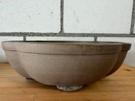 Grosse Bonsaischale Keramik  ca. 23 cm