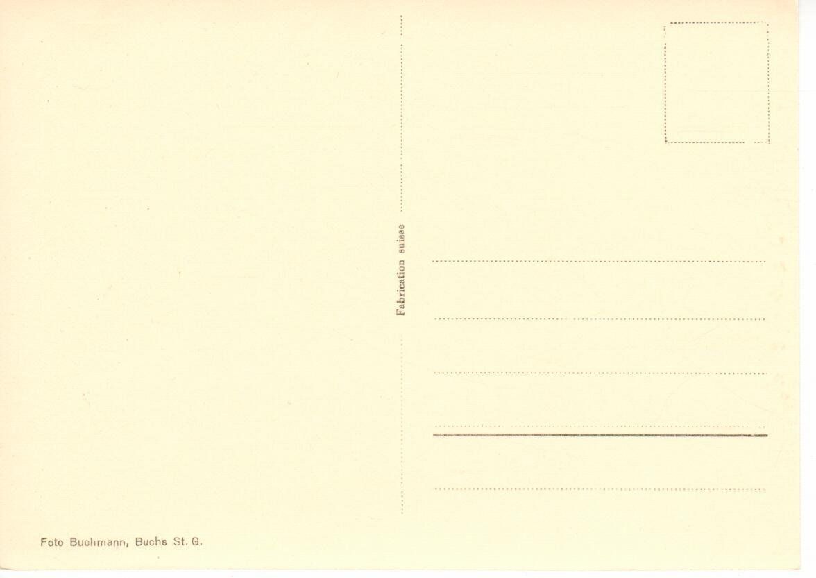Cartoline postali: Blick vom Buchserberg ins Rheintal – Usato da Wolhusen venduto da Curver9 1