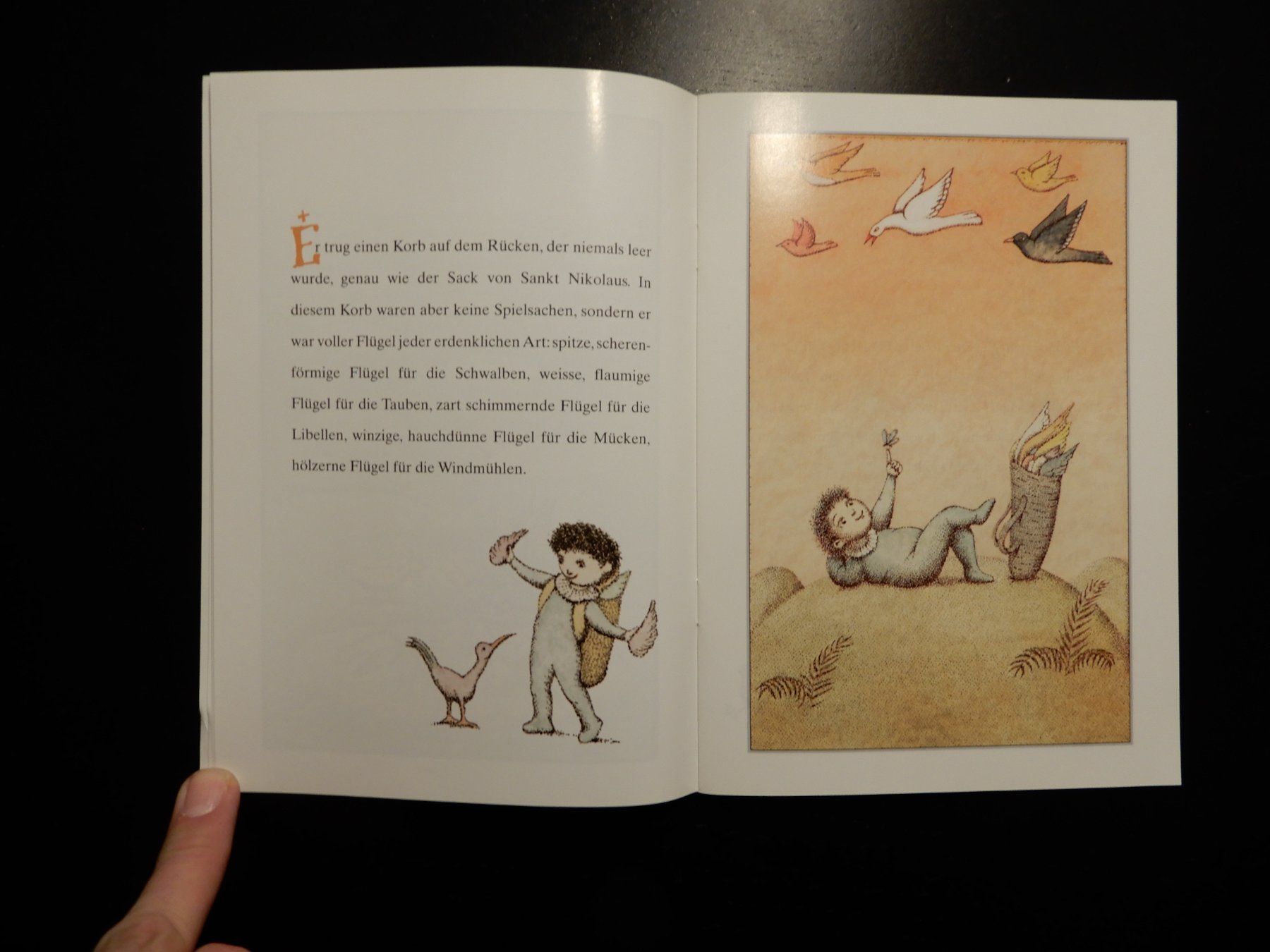 Libri: Der kleine Junge mit den Flügeln - Buch – Usato da Erstfeld venduto da Mario_boe0 3