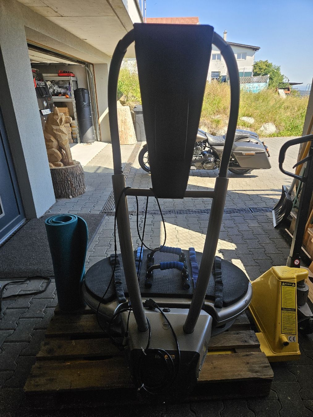 Hometrainer: Vibbrationsplatte FitevibePro  – Usato da lenzburg venduto da Profitness 1